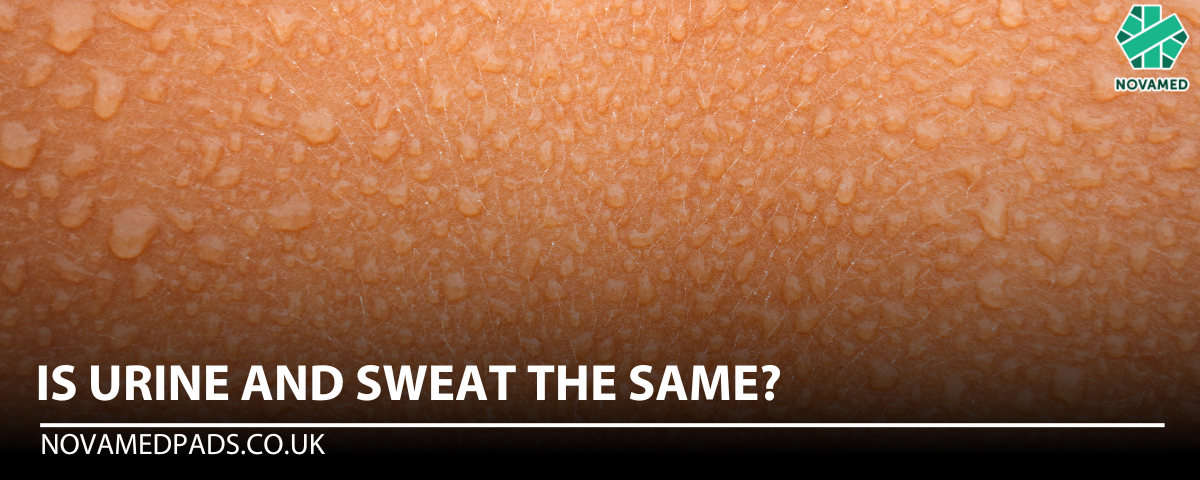 is sweat and urine the same thing