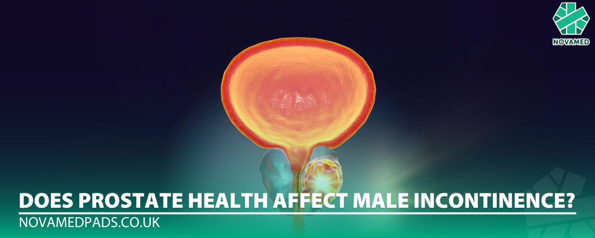 Does Prostate Health Affect Male Incontinence?