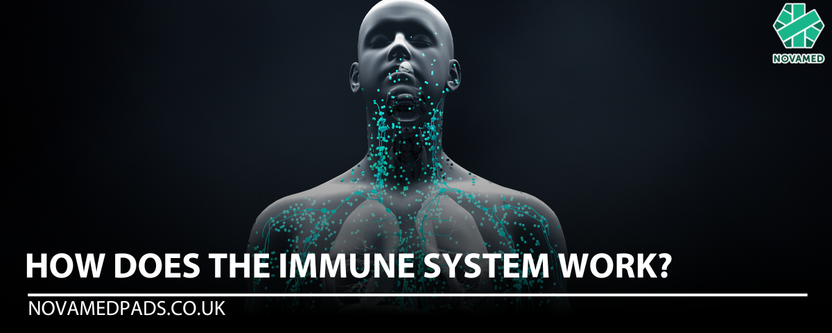 How does the immune system work - Novamed (Europe) ltd