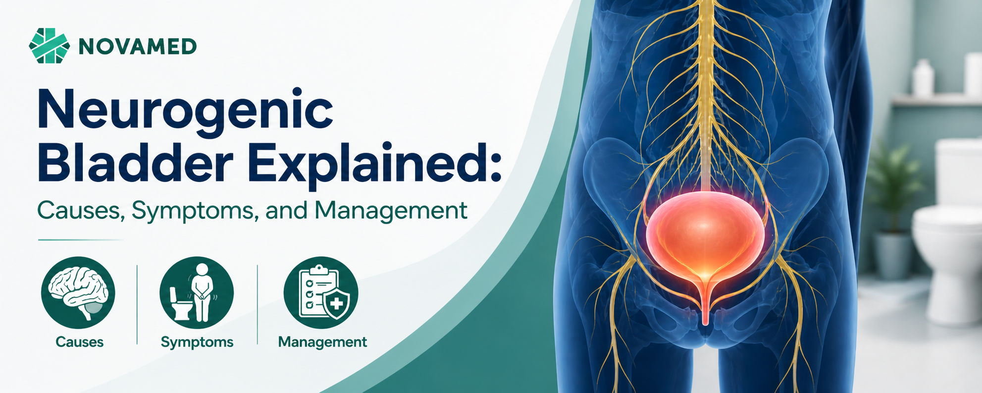 Neurogenic Bladder Explained: Causes, Symptoms, and Management
