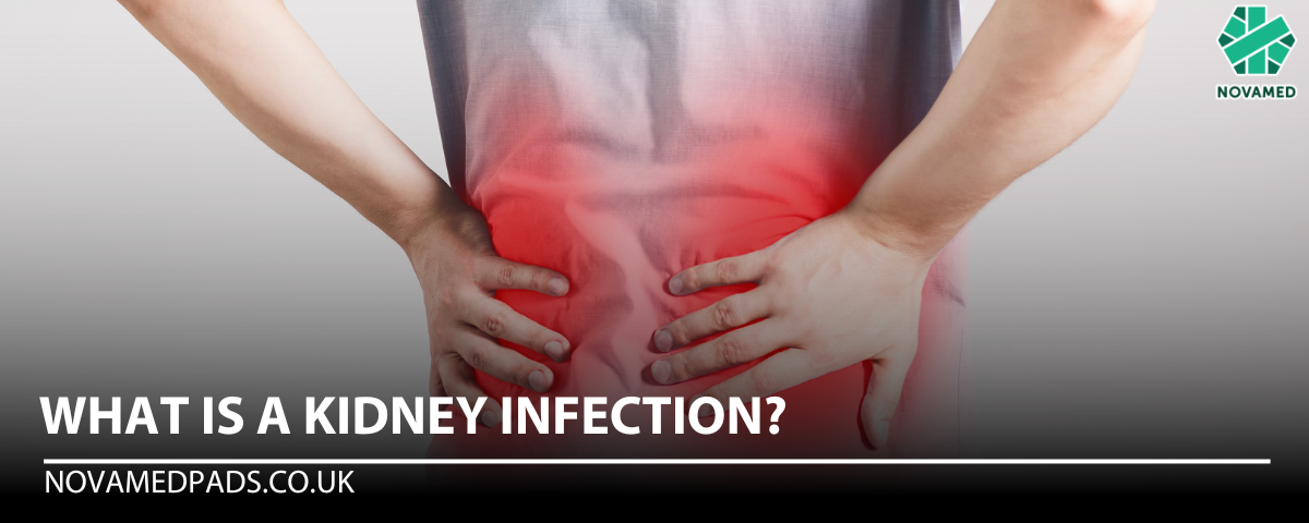 What is a Kidney Infection - Novamed (Europe) ltd