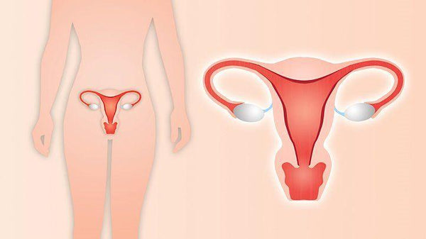 Does A Hysterectomy Cause Incontinence - Novamed (Europe) ltd