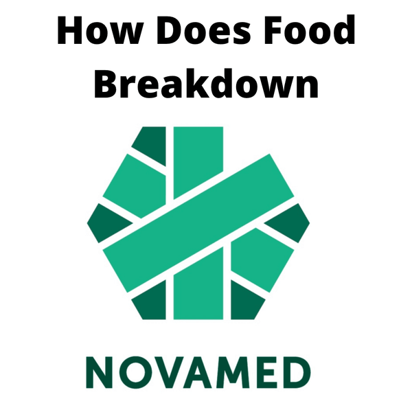 How Does Food Breakdown - Novamed (Europe) ltd