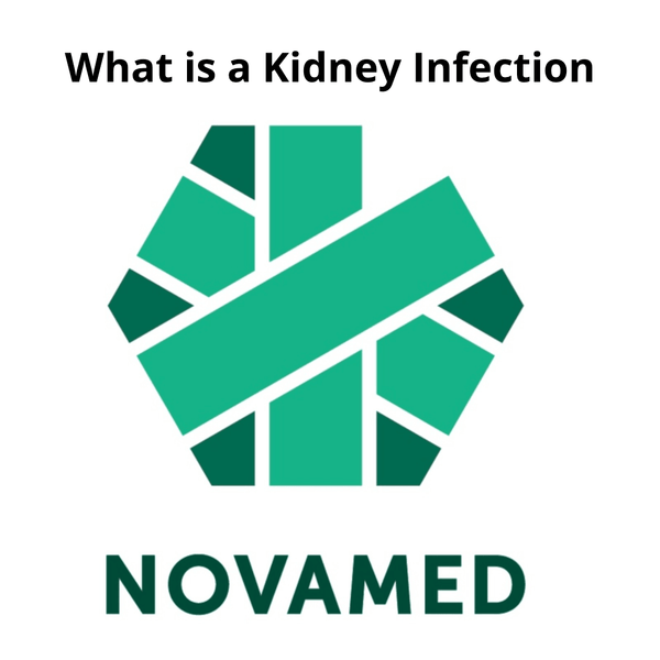 What is a Kidney Infection - Novamed (Europe) ltd